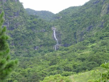 The Savu-i-One Waterfall is the feature waterfall attraction of the remote Koroyanitu National Park in northern Viti Levu. To even get to the reserve, you'll need to arrange...