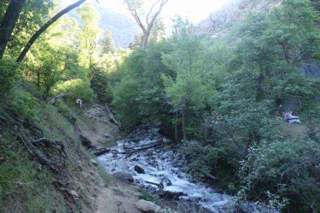 Adams_Falls_059_05272017 - Context of an eroded part of my late May 2017 Adams Canyon hike where I was on the left side of this creek and needed to continue straight along the embankment while trying not to get wet in North Holmes Creek