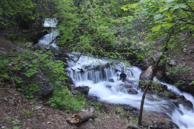 Adams_Falls_078_05272017 - Lots of intermediate cascades on Holmes Creek as a result of high water conditions experienced on my late May 2017 hike to Adams Falls
