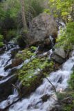 Adams_Falls_096_05272017 - This interesting intermediate cascade on North Holmes Creek appeared to be split by a giant boulder that fell from a neighboring cliff