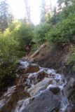 Adams_Falls_121_05272017 - More stream scrambling on North Holmes Creek as I continued to make my way up to Adams Falls