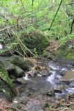 Afareaitu_Waterfalls_023_20121219 - The third stream crossing