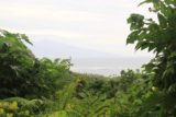 Afareaitu_Waterfalls_101_20121219 - Looking towards a partial view of Tahiti Nui