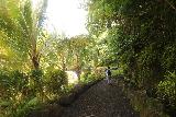 Afu_Aau_Falls_013_11142019 - Julie on the short trail leading to the Afu Aau Waterfall