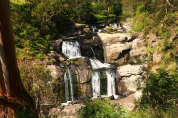 Agnes Falls was an impressive multi-tiered waterfall in the quiet South Gippsland region.  Both times we've been to this waterfall, it was seen as part of a long day trip that looped throughout...