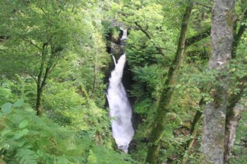 Aira Force (I'm so tempted to just called this the Air Force Waterfall) was an attractive 20m waterfall (though it seemed a bit taller than that) that tumbled over several tiers between a pair...