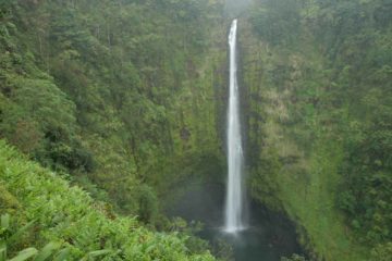Akaka Falls is a spectacular 420ft waterfall north of Hilo.  It is the most attractive of the accessible waterfalls on the Big Island and therefore it is very popular...