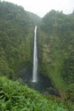 Akaka_Falls_065_03112007 - Last look at Akaka Falls after returning from Kahuna Falls