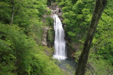 The Akiu Waterfall (Akiu Otaki [秋保大滝]; also Akiu Great Falls or just Akiu Falls) was a nice 55m waterfall on the outskirts of Sendai towards the northern part of Honshu in the Miyagi-ken...