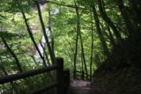 Akiu_070_05222009 - The path continued to descend towards the base of Akiu Otaki