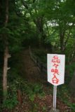 Akiu_117_05222009 - Another look inside the Rairaikyo Gorge as we explored a bit around the Akiu Onsen town