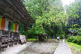 Akiu_Otaki_017_07202023 - Walking around the shrine leading to the upper lookout for the Akiu Otaki Waterfall