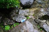 Akiu_Otaki_104_07202023 - Noticing some litter left behind around the base of the Akiu Otaki Waterfall