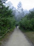 Alamere_002_05082004 - Julie on the trail