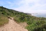 Alamere_Falls_049_04192019 - Looking back in the direction of the Palomarin Trailhead as it appeared that coastal fog was starting to roll in on my Alamere Falls hike in April 2019.  That conspired to ruin any shot I'd have of re-creating the April 2010 visit of a late afternoon soft glow or even sunset
