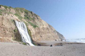 This itinerary covered a return trip to Point Reyes as well as introducing us to the waterfalls at Mt Tamalpais (both north of the city of San Francisco). We also went south and visited the Big Basin Redwoods State Park (southwest of Silicon Valley)...