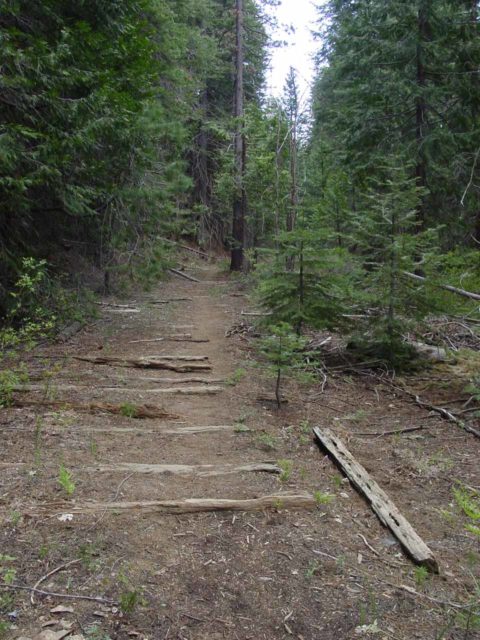 Alder_Creek_Falls_052_05212004 - Remnants of railroad tracks on the Alder Creek Trail