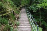 Allerheiligen_057_06222018 - After the first of the Allerheiligen Waterfalls, we had to go up the long series of steps