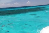 Amedee_266_11302015 - Looking over a large school of fish with Amedee Island way in the distance