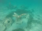 Amedee_GoPro_077_11302015 - Checking out some strange-looking coral