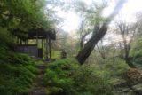 Amida_Falls_097_10212016 - Looking back towards some kind of lookout shelter near Amida Falls