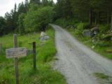 Amotan_023_07032005 - The trail to Linndalsfossen