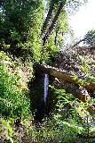 Andrew_Molera_Falls_071_02072021 - Last look at the Andrew Molera Falls with fallen tree and soon-to-be-fallen tree chaos around it