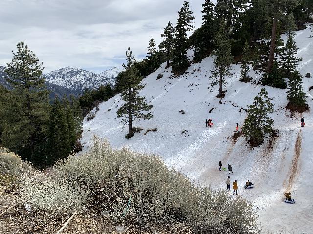 Angeles_NF_Snow_Play_024_iPhone_02152021-Further north off the I-15 In The Angeles National Forest west of Mountain High in Wrightwood, we managed to fall in some snow play weeks before we made our visit to Etiwanda Falls