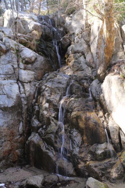 Angelus_Oaks_008_03072015 - Closeup look at the 'Cold Creek Falls'
