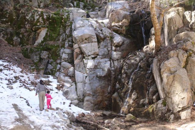 Angelus_Oaks_079_03072015 - 'Cold Creek Falls'