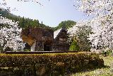 Arakawa_Residence_046_04122023 - Another look back at Arakawa's Residence near Takayama flanked by cherry blossoms
