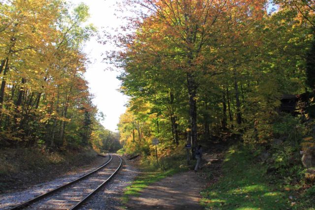 Arethusa_Falls_011_10022013-登山口で鉄道線路を残した後、Arethusaの滝トレイルで始まるJulie