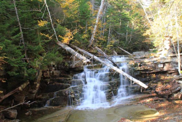 Arethusa_Falls_031_10022013 - Il diminutivo, ma attraente, Bemis Cade sul Bemis Brook Trail Deviazione