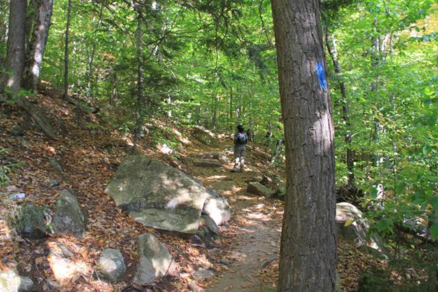 Arethusa_Falls_060_10022013 sulla principale Fonte di Falls Trail che sono stati contrassegnati da questi blue hash (invece di quelli gialli lungo il Bemis Brook Trail)