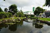 Asahikawa_098_07152023 - Checking out a garden and pond area fronting the Otokoyama Sake Museum in Asahikawa