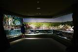 Asamushi_051_07112023 - Another look at some of the freshwater habitat displays inside the Asamushi Aquarium
