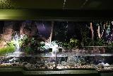 Asamushi_052_07112023 - Yet another look at some of the freshwater habitat displays inside the Asamushi Aquarium