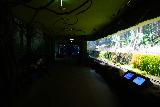 Asamushi_054_07112023 - Looking back across some forest habitat display on the second floor inside the Asamushi Aquarium