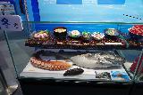 Asamushi_068_07112023 - More displays of sea life becoming sushi on display inside the Asamushi Aquarium