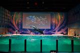 Asamushi_123_07112023 - More dolphins doing backflips during a performance inside the Asamushi Aquarium