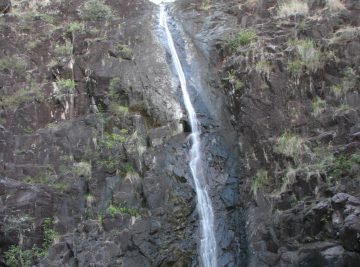 Attie Creek Falls was a waterfall that Julie and I visited based on a recommendation by the friendly hosts at the nearby Mudbrick Manor near the town of Cardwell.  Prior to their recommendation...