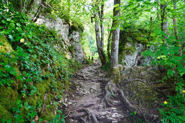 Autoire_083_06082025 - Going up the somewhat steep and rugged trail leading up to the D38 Road on the way to the top of the limestone cirque containing the Cascade d'Autoire