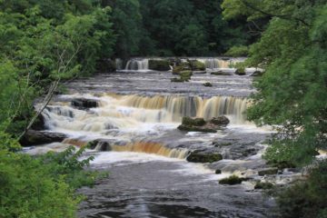 Aysgarth Falls was actually a series of three main waterfalls, which the signs referred to them as Upper, Middle, and Lower.  Rather than being dramatic drops over a cliff, these waterfalls...