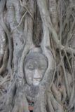 Ayutthaya_120_12252008 - Buddha surrounded by tree roots