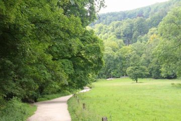 Bad_Urach_Waterfall_035_06232018