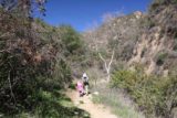 Bailey_Canyon_035_02062016 - Continuing on the main trail, which at this point was still shared between the waterfall hike as well as the trail leading up to Jones Peak