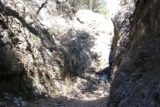 Bailey_Canyon_070_02062016 - Finally at Bailey Canyon Falls, but unfortunately all we had to show for our efforts of our first visit in January 2016 was a few wet streaks on this wall