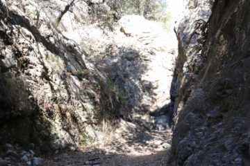 Bailey Canyon Falls was one of the locally obscure waterfalling excursions that we've done.  We suspect that a large reason for this apparent obscurity was that it didn't appear in any of our local...