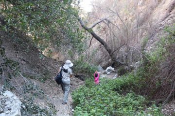 Bailey_Canyon_078_02062016