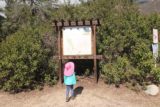 Bailey_Canyon_Falls_005_01212017 - Tahia checking out the sign trying to understand what it was saying